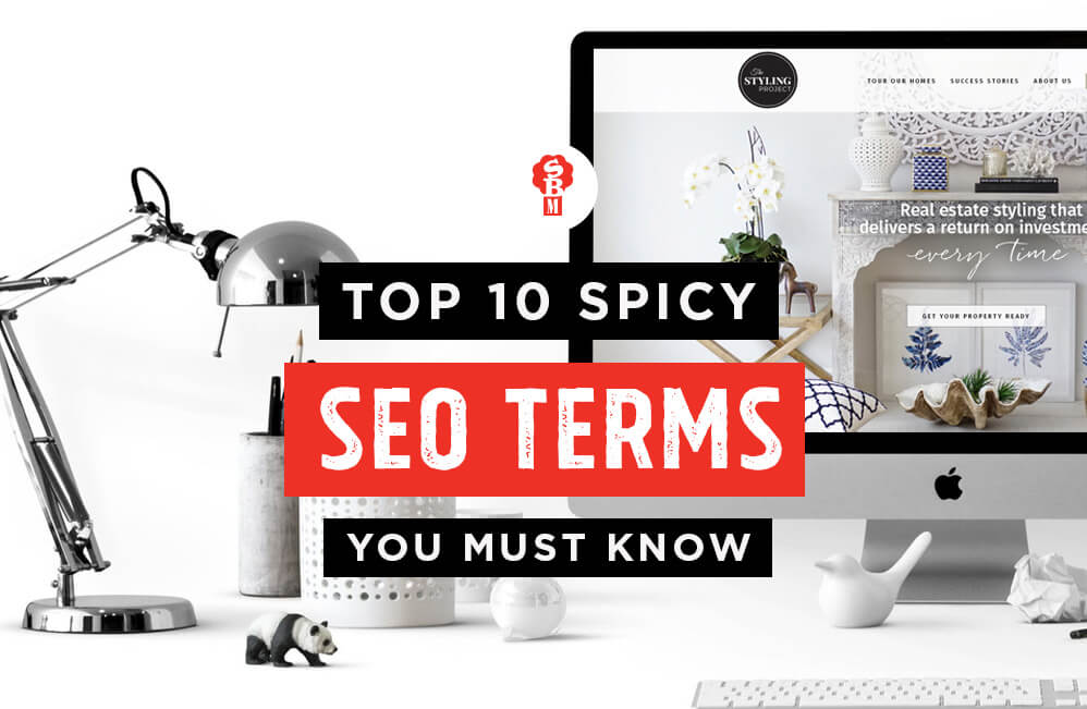 10 spicy SEO terms you must know