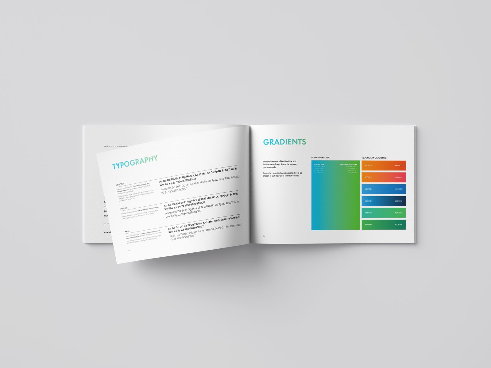 brochure with typography and colour scheme